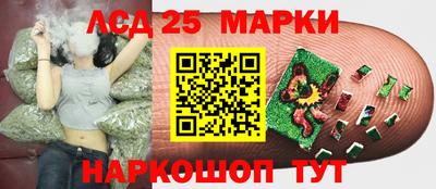 гашик Бийск