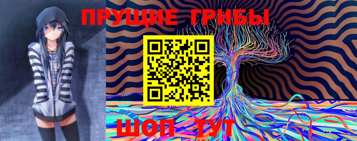 Псилоцибиновые грибы Cubensis  Вход с VPN  Кандалакша 
